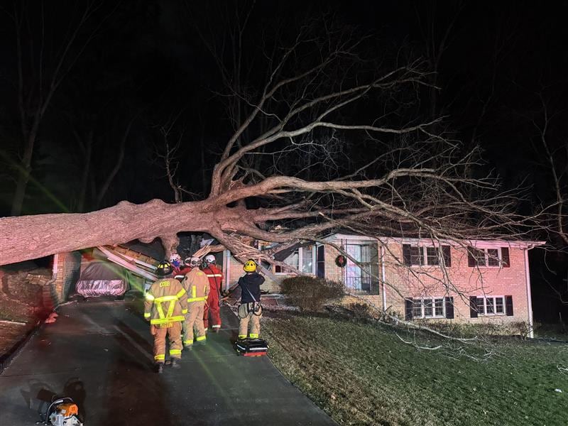 2 people hospitalized after tree falls on home in Cobb County