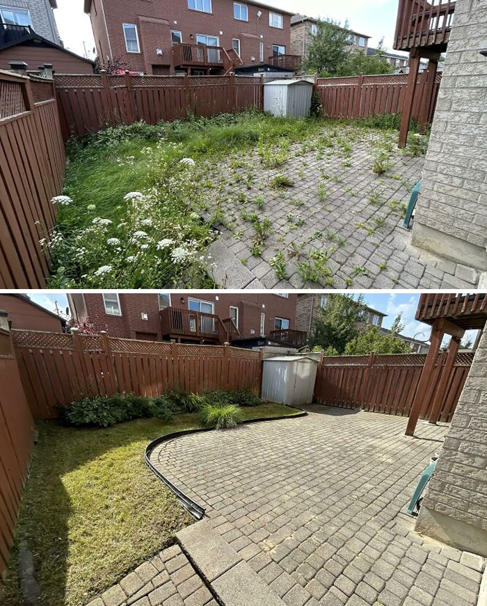 46 Of The Most Interesting Comparison Pics That Might Give You A Fresh New Perspective On Things