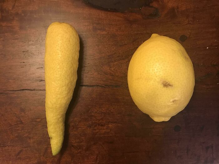 46 Of The Most Interesting Comparison Pics That Might Give You A Fresh New Perspective On Things