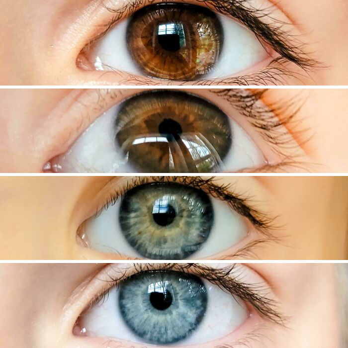 46 Of The Most Interesting Comparison Pics That Might Give You A Fresh New Perspective On Things