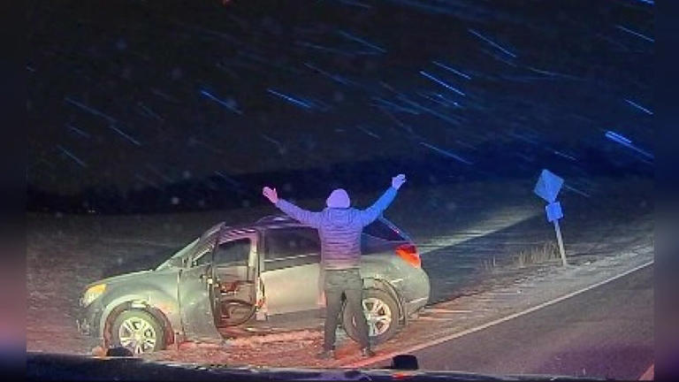 Madison man arrested after high speed police chase