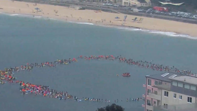 Community rallies around family of 12-year-old killed by shark in Sydney Harbour.
