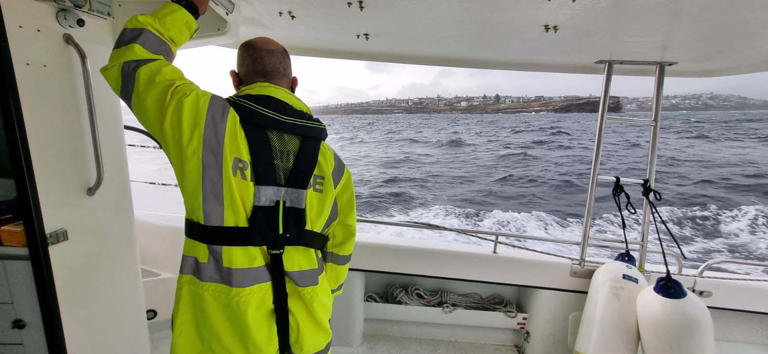 A search is under way for a swimmer who disappeared at Maroubra Beach in Sydney.