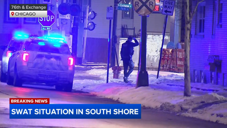 Chicago man accused of shooting at woman, SWAT officers during South ...