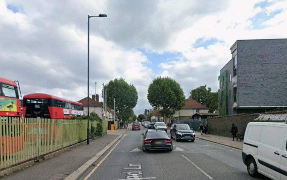 Woman, 50, stabbed to death in London