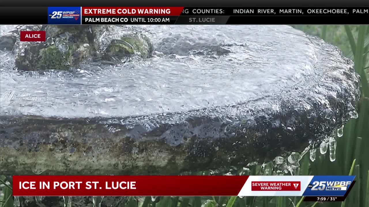 Florida faces its coldest air in years; record lows shattered