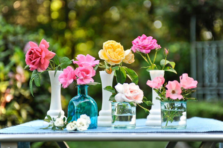 5 garden plants that instantly add positive energy to your outdoor space