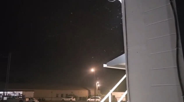 Flurries in Florida: Rare snow sighting as Tampa Bay braces for another ...