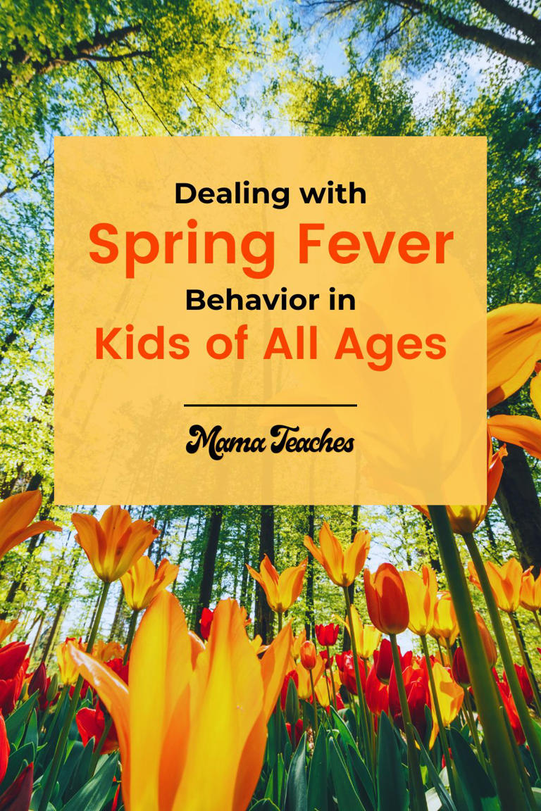 Dealing with spring fever behavior in students