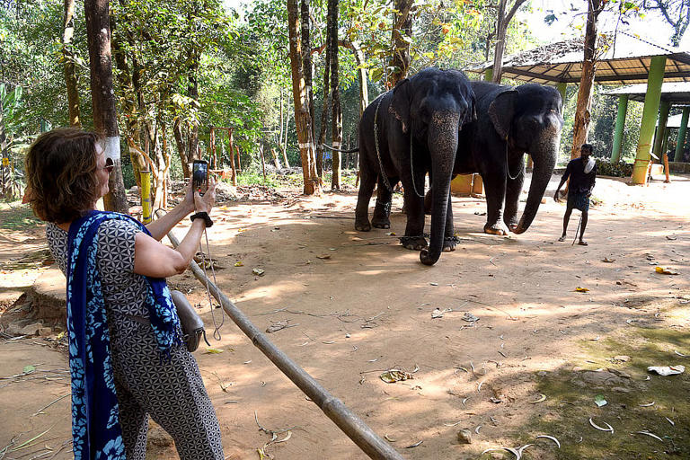 Kodanad: A home, not a cage, for Kerala’s rescued elephants