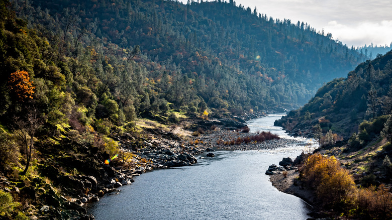 American River Auburn California
