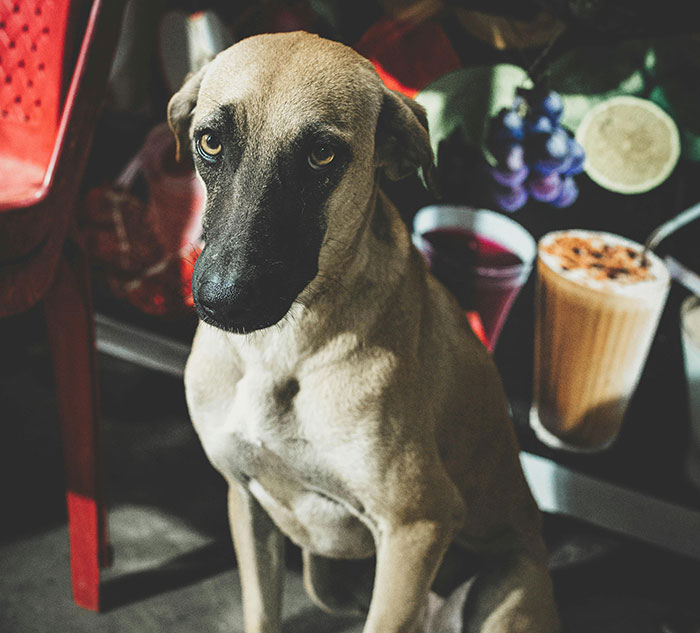 “No One Can Stop Me”: 38 People Confess To The Weirdest Things They Do Living Alone