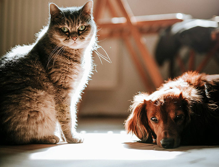 “No One Can Stop Me”: 38 People Confess To The Weirdest Things They Do Living Alone