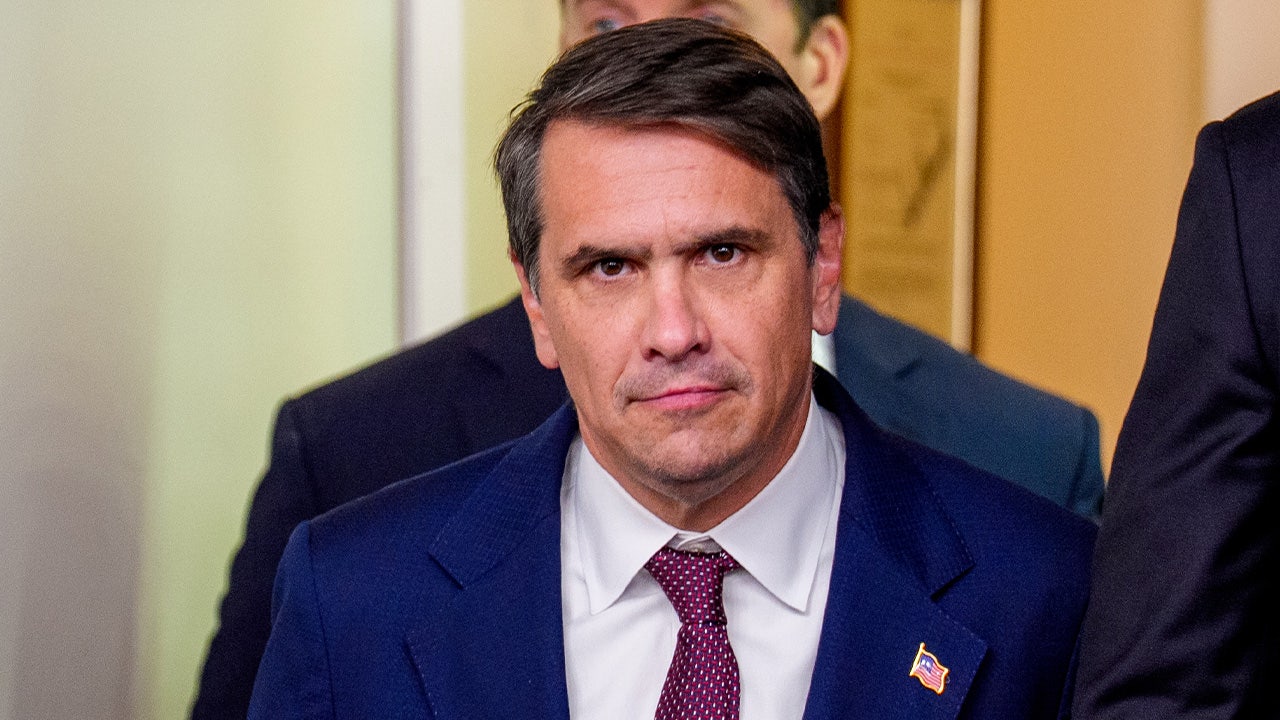 Deputy AG denies 5-year-old, father has asylum claim after family released from ICE detention<br><br>