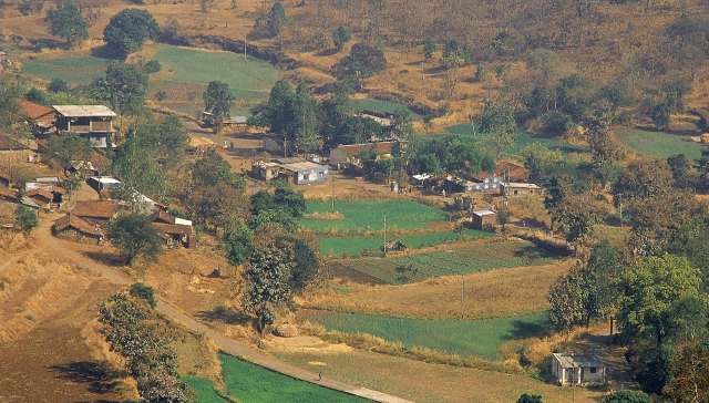 Officials issue urgent warning after wild predator is spotted in unexpected location — here