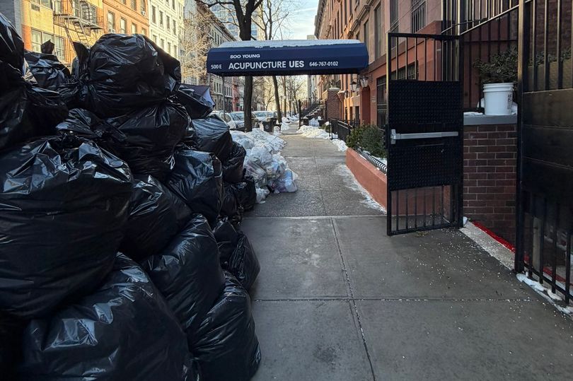 Furious New Yorkers erupt over 'disgusting' trash pileup after winter ...