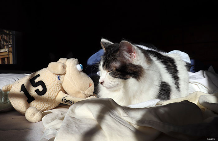 “No One Can Stop Me”: 38 People Confess To The Weirdest Things They Do Living Alone