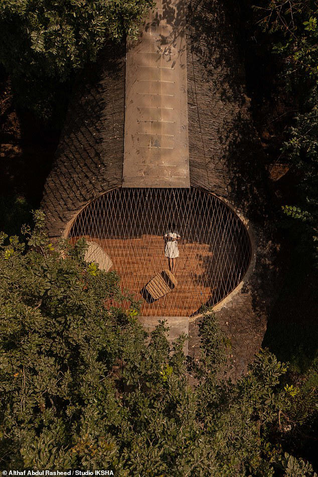The house built across a gorge: The incredible home that is also a bridge
