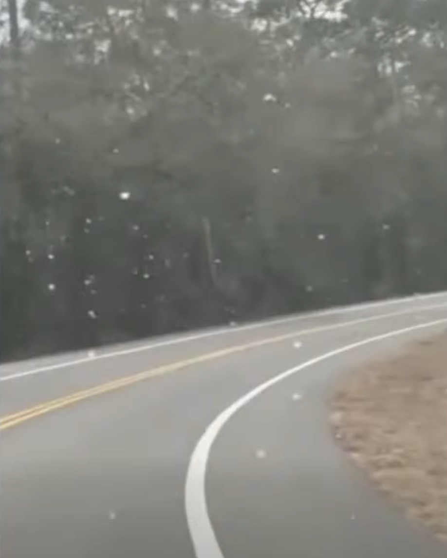 Did it snow in Florida? Where flurries spotted over the weekend