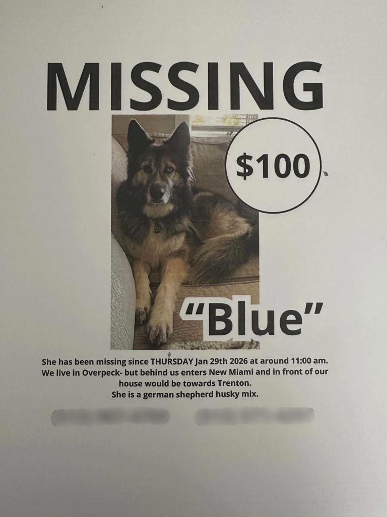 Butler County fire officials rescue dog who had been missing for 3 days ...