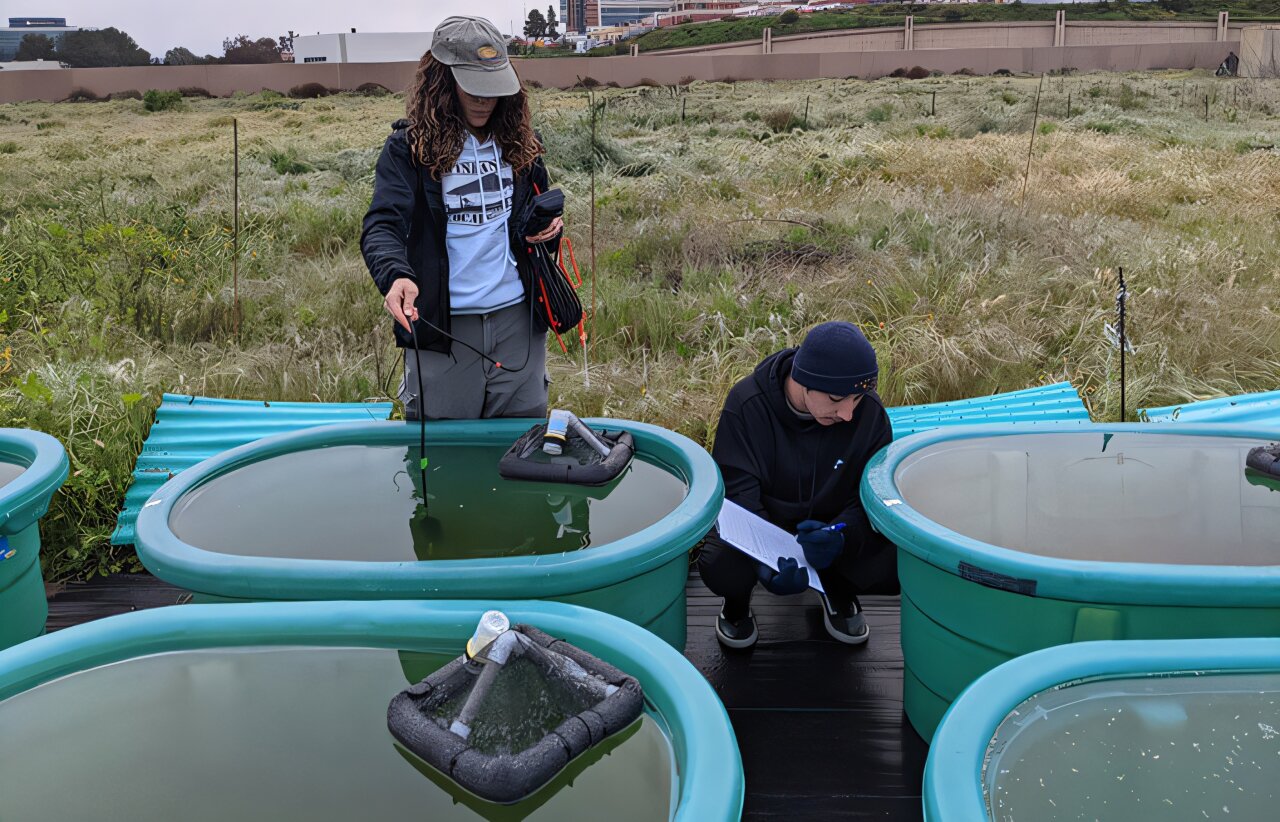Plastic pollution promotes hazardous water conditions, new study finds