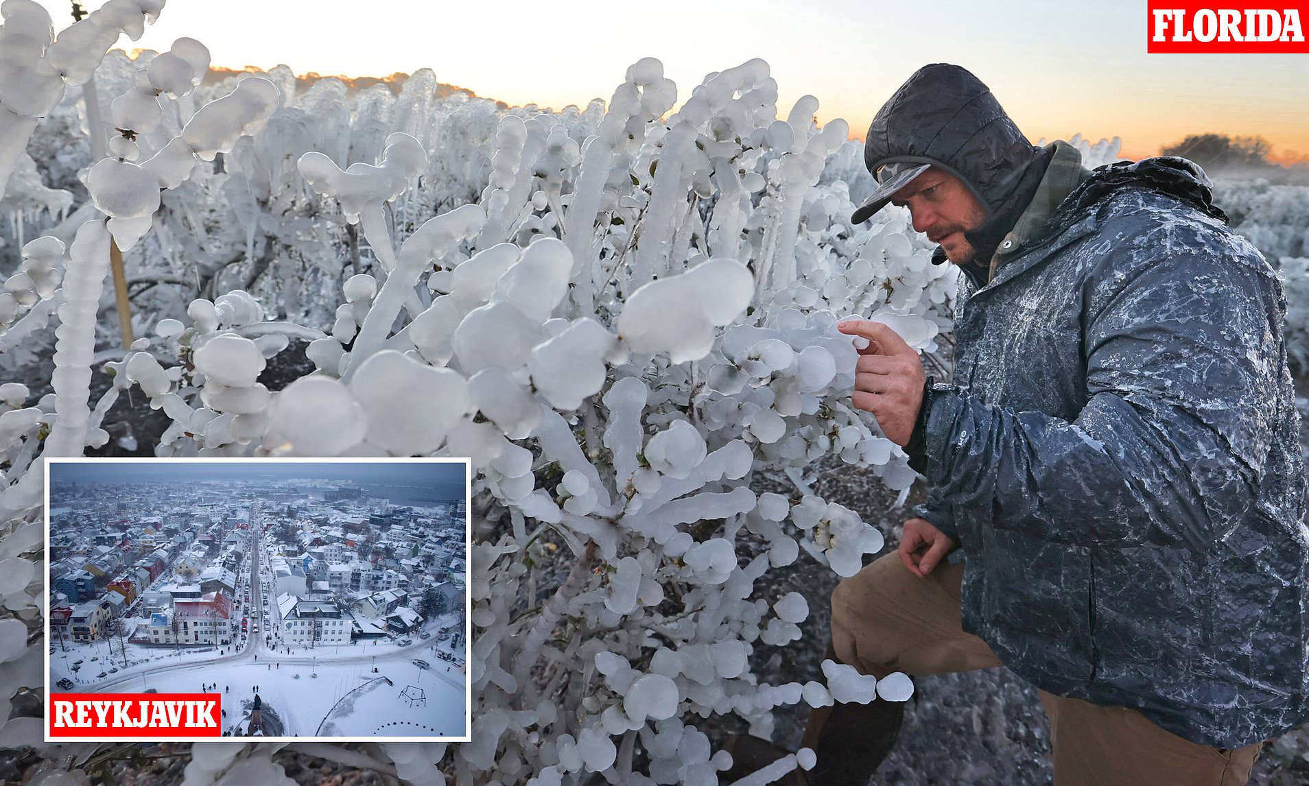 Florida to see colder temperatures than Iceland amid bomb cyclone