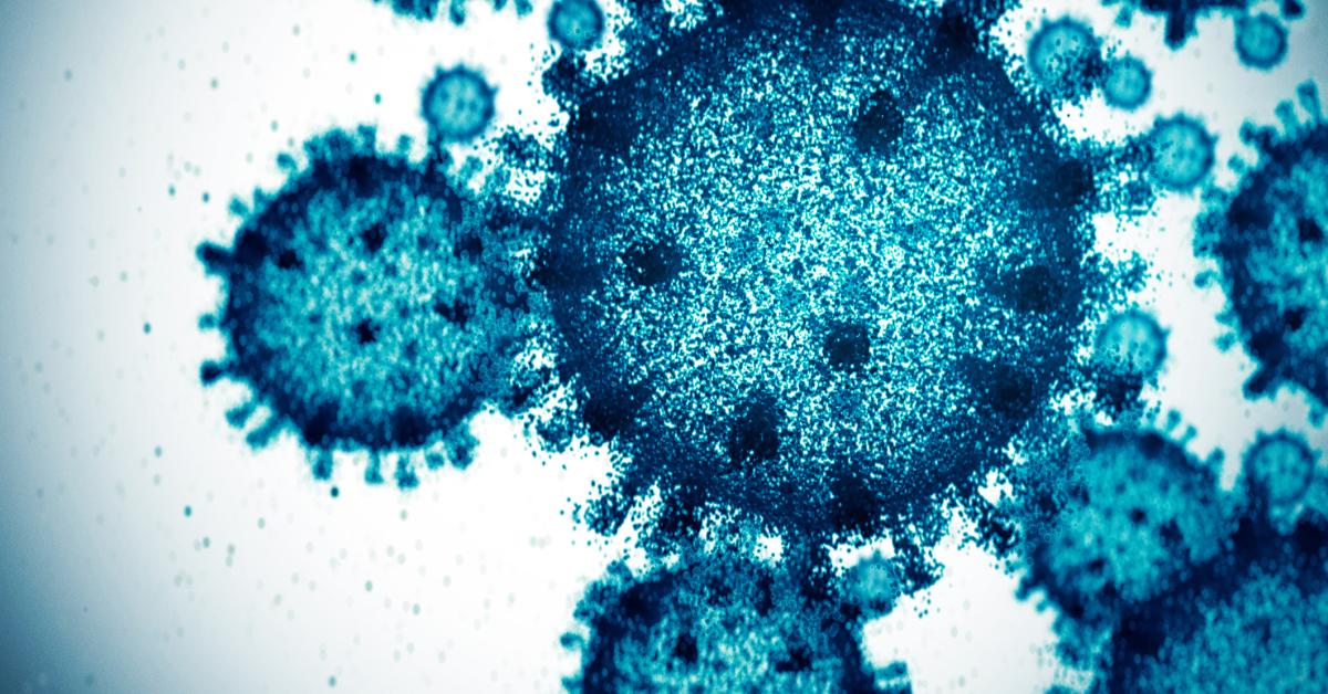 WHO issues alert as Nipah virus outbreak prompts quarantines in Asia<br><br>