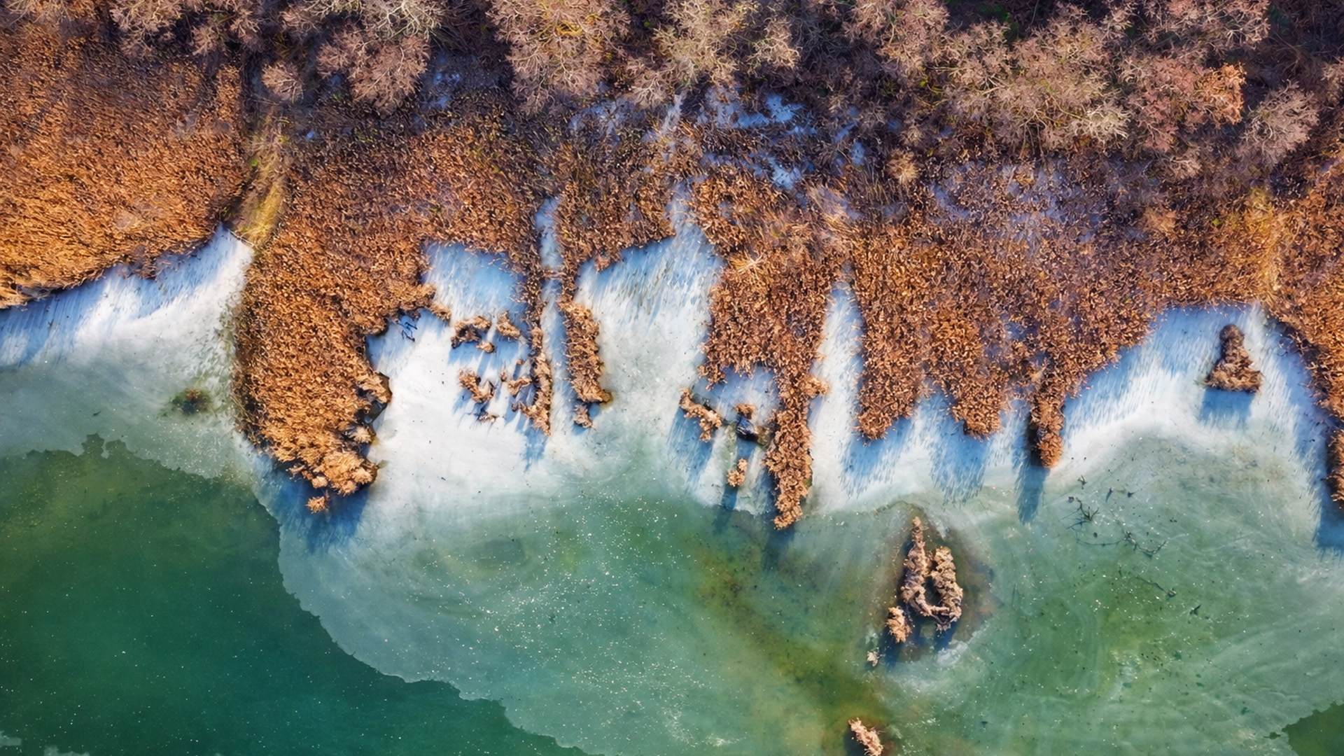 A quiet Hungarian landscape shaped by seasons and stillness