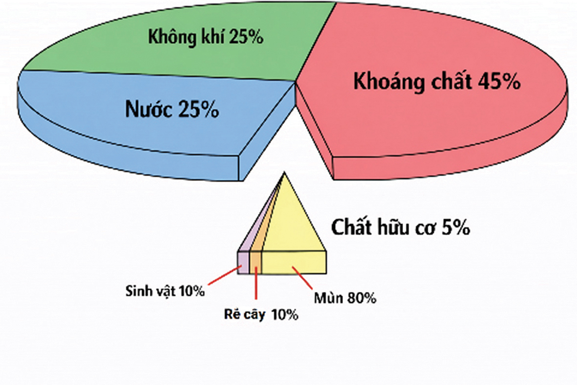 10 năm từ cọng rơm tới những khu vườn rừng: Ngộ nhận, vỡ lẽ và chuyển hóa