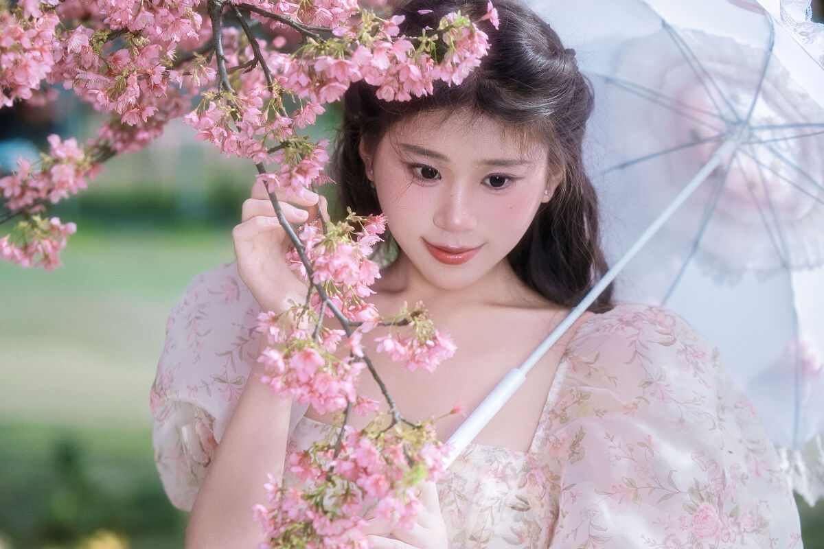 樱花树下 | 摄影 瑾之