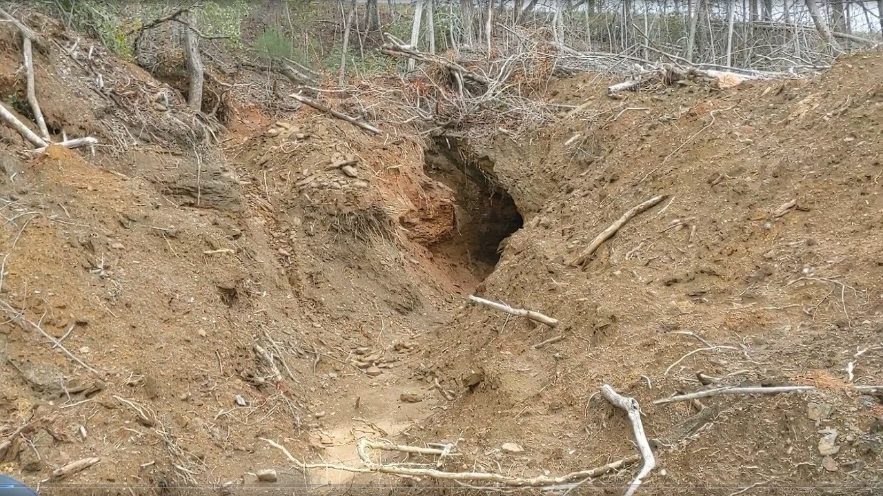 This goldmine was buried for decades until he dug it back open