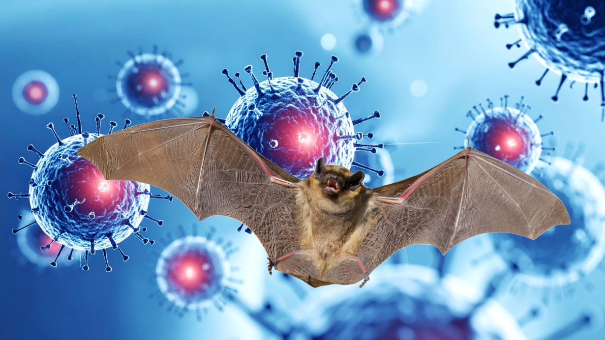 Chỉ đạo mới của Hà Nội liên quan loại virus có tỷ lệ tử vong cao