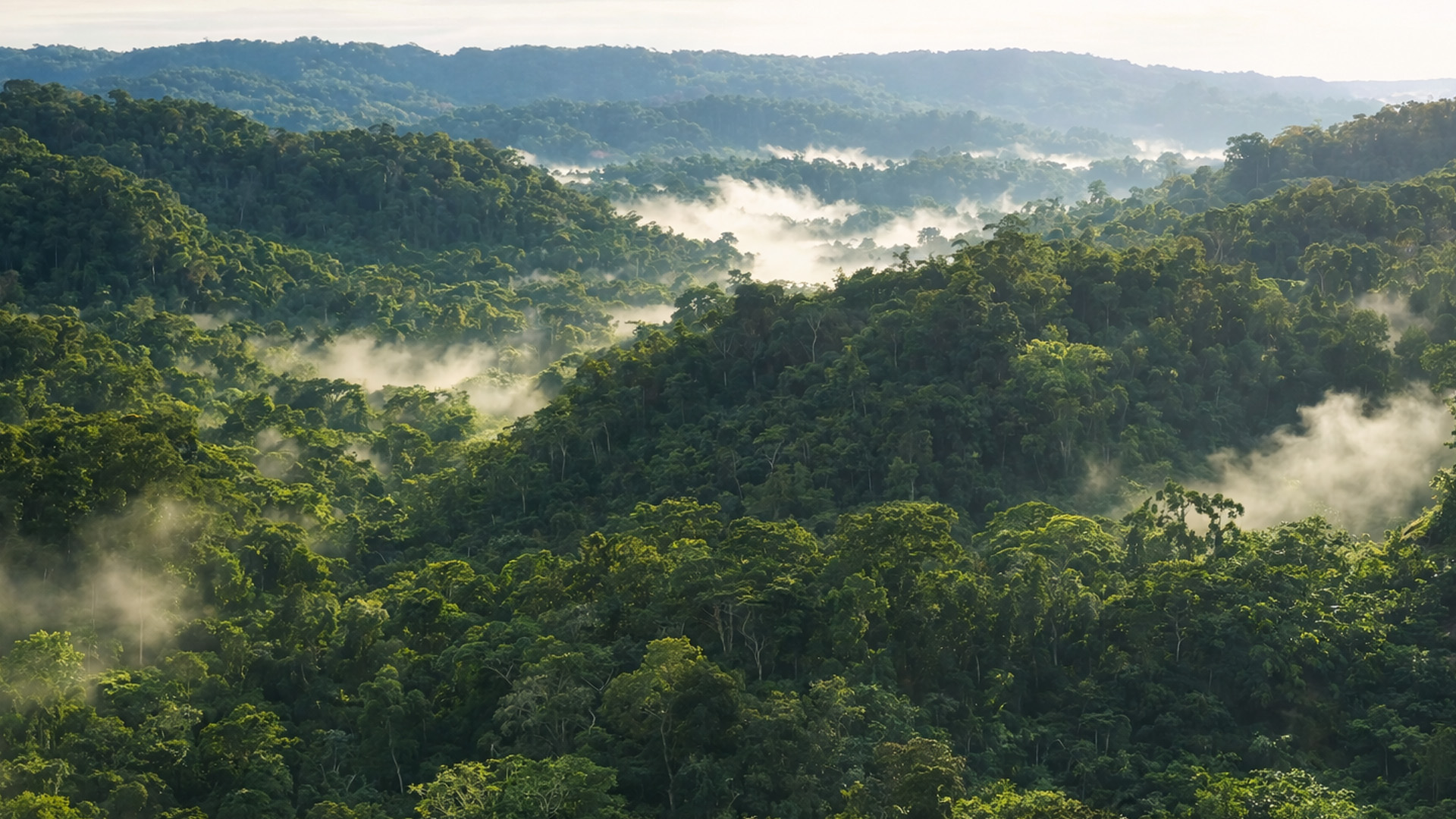 ¿Puede sobrevivir el ser humano en lo más profundo de la selva?