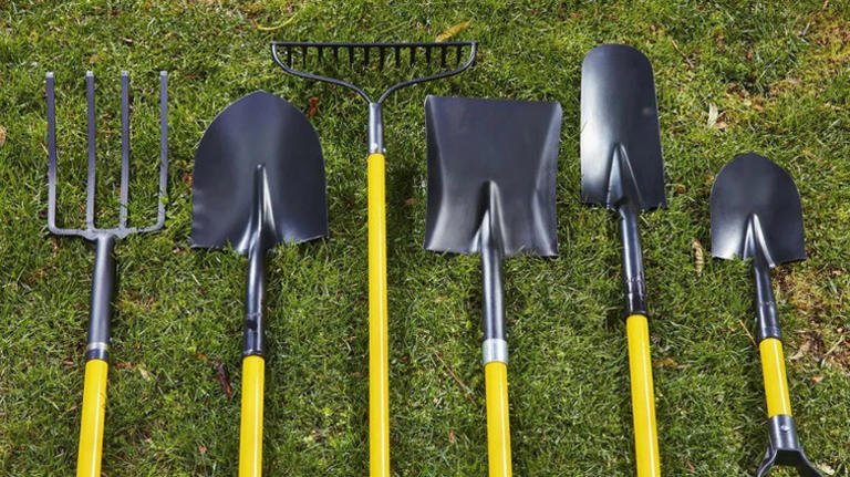 The Best 13 Lawncare Tools To Get From Harbor Freight According To Reviews