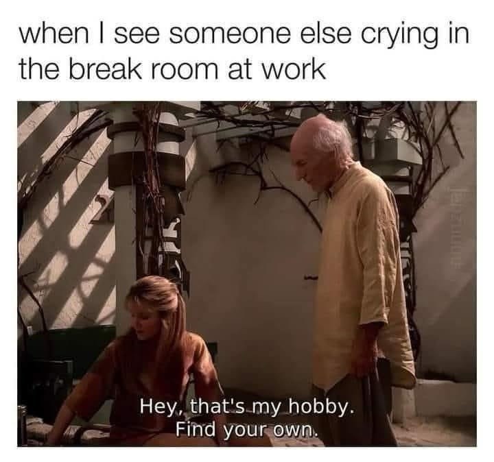 29 Memes That Demonstrate Memeing