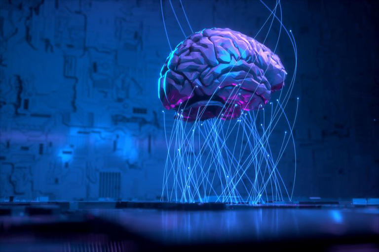 Study links intelligence to overall brain activity rather than specific ...