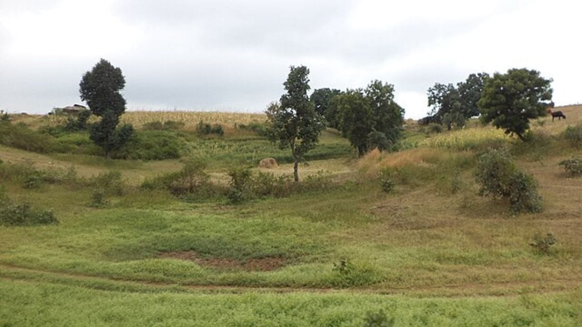 What medieval Marathi poetry reveals about India’s vulnerable grasslands
