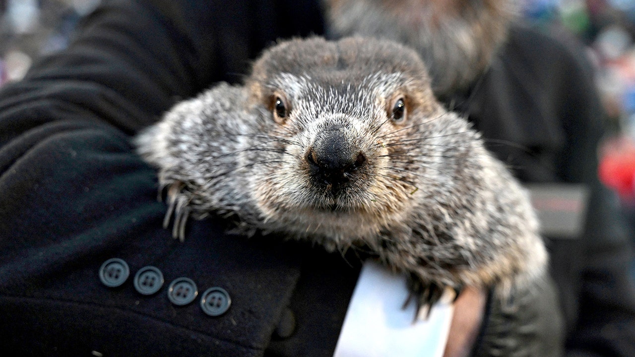 Groundhog Day: Punxsutawney Phil makes 140th weather prediction<br><br>