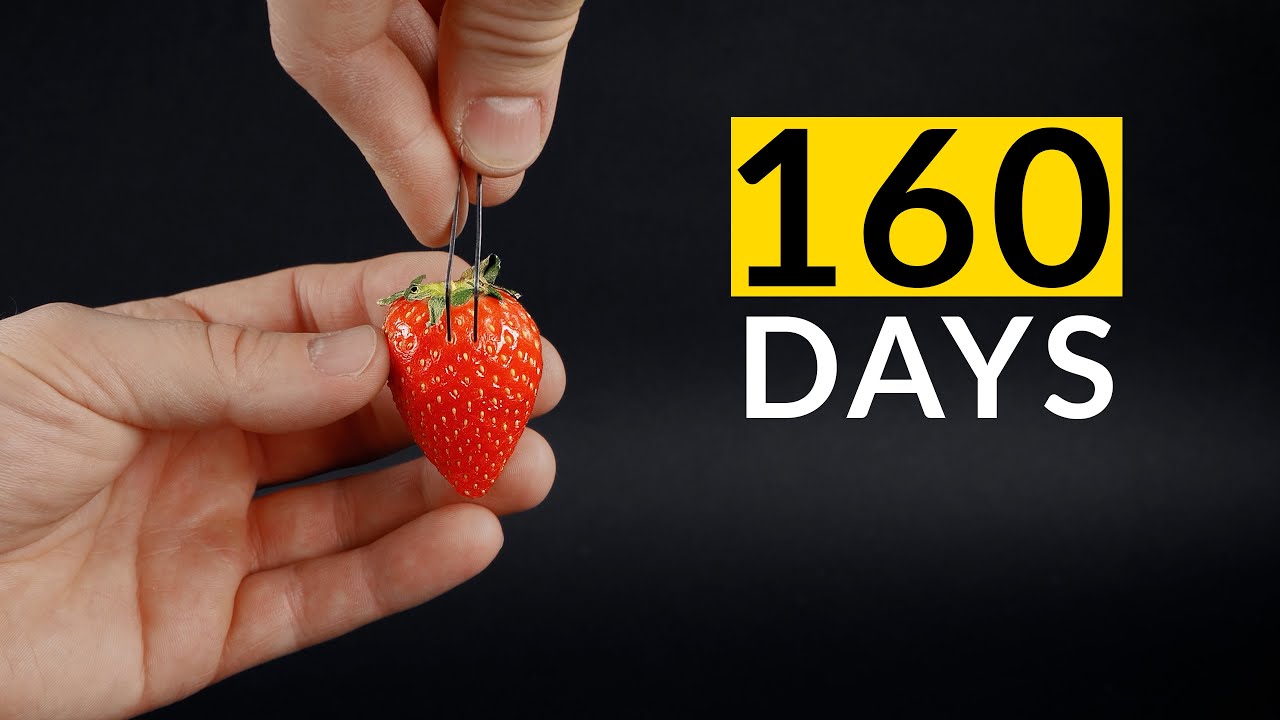 160 days of strawberry growth!