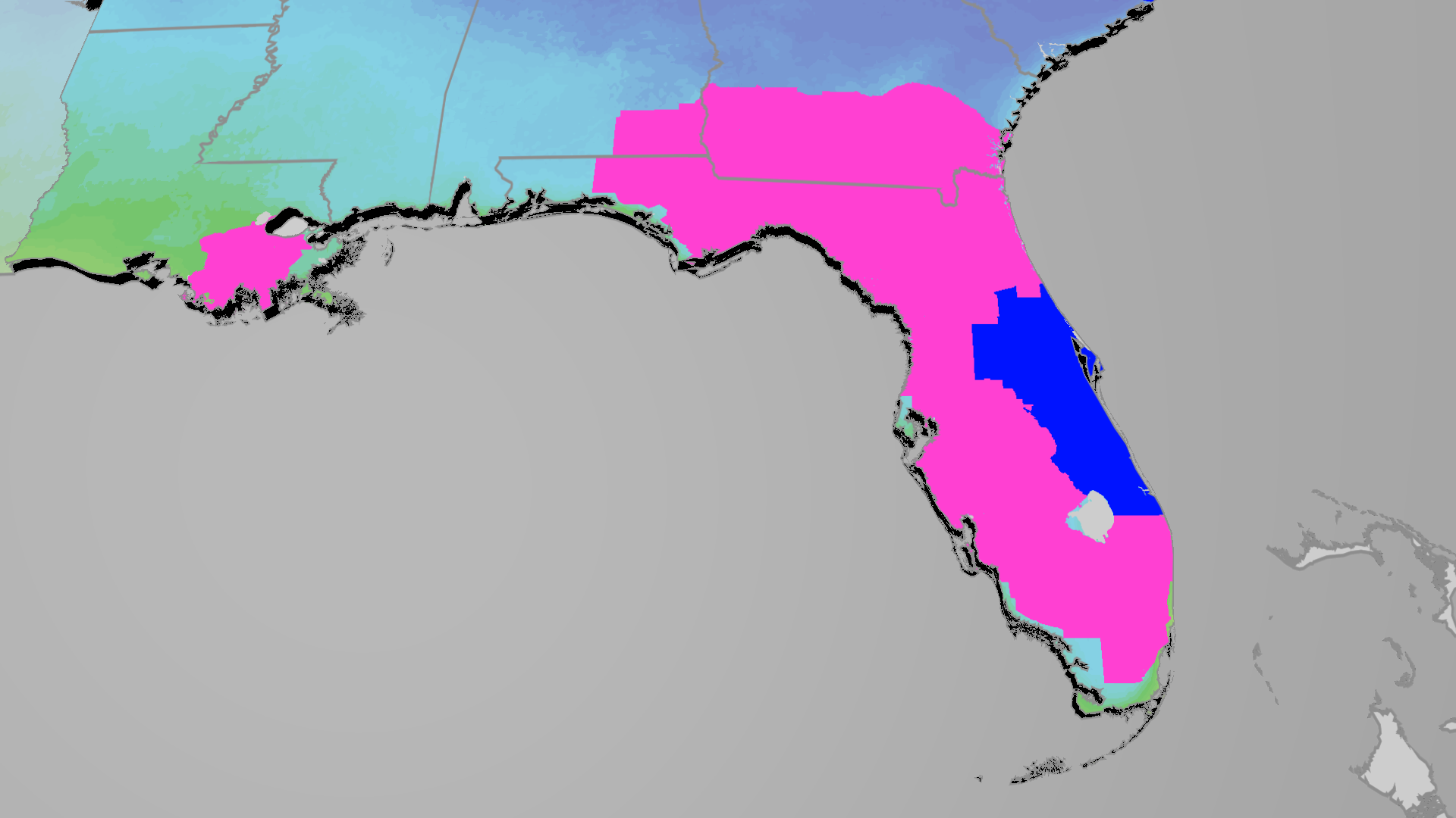 Florida Experiences Their Coldest Outbreak In 15 Years As Northeast ...