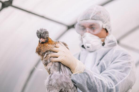 ‘Most infectious flu outbreaks yet’ sparks pandemic warning - 92 in UK ...