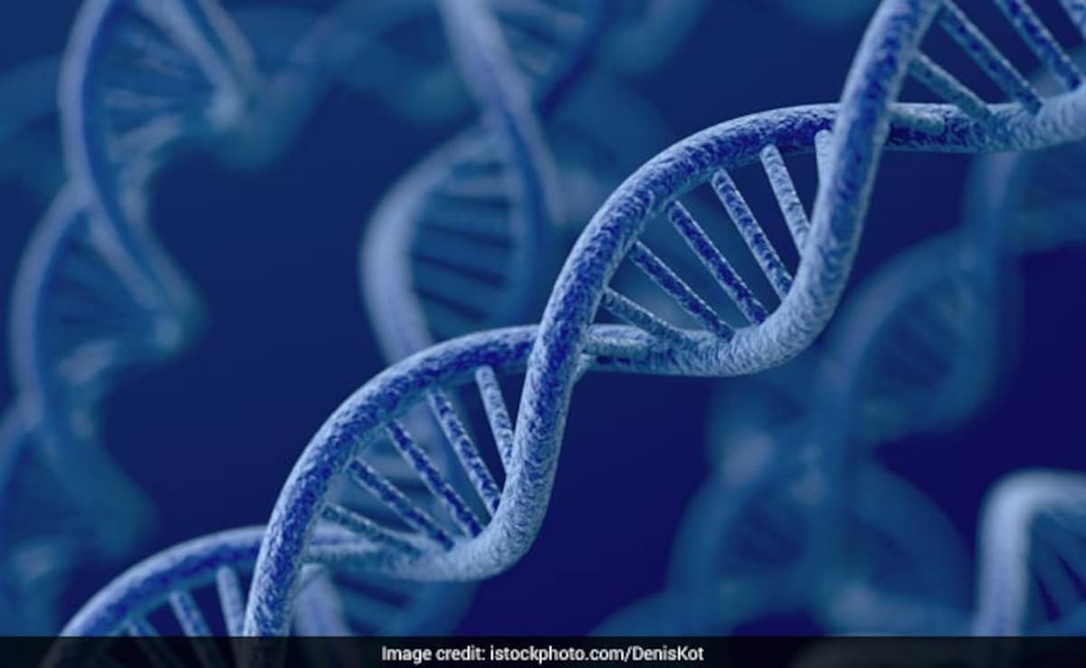 Genetics account for over 50% of human life span, finds new study
