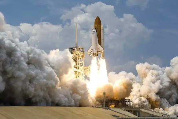Long before astronauts, these animals took the ultimate space risk