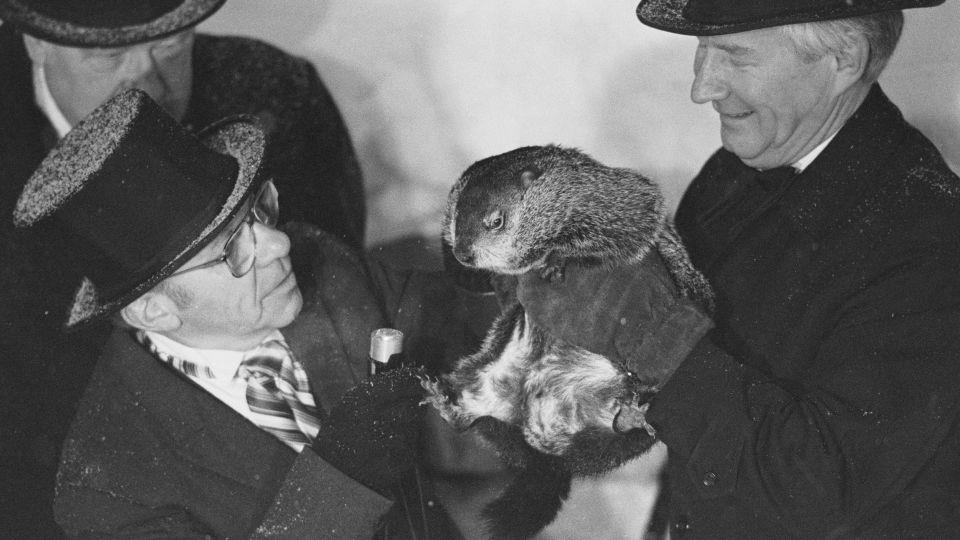 What did the groundhog see? Punxsutawney Phil’s winter prediction is in<br><br>