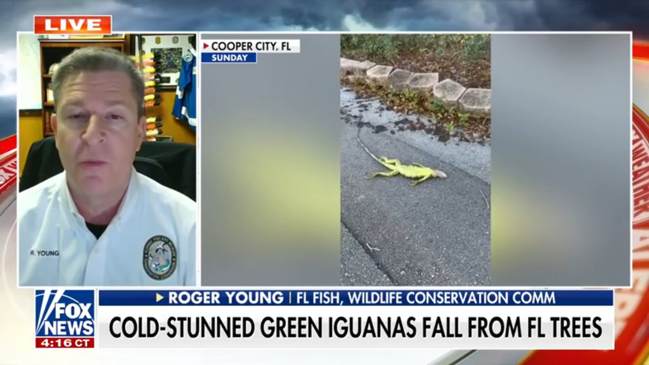 Florida helps remove more than 2,000 