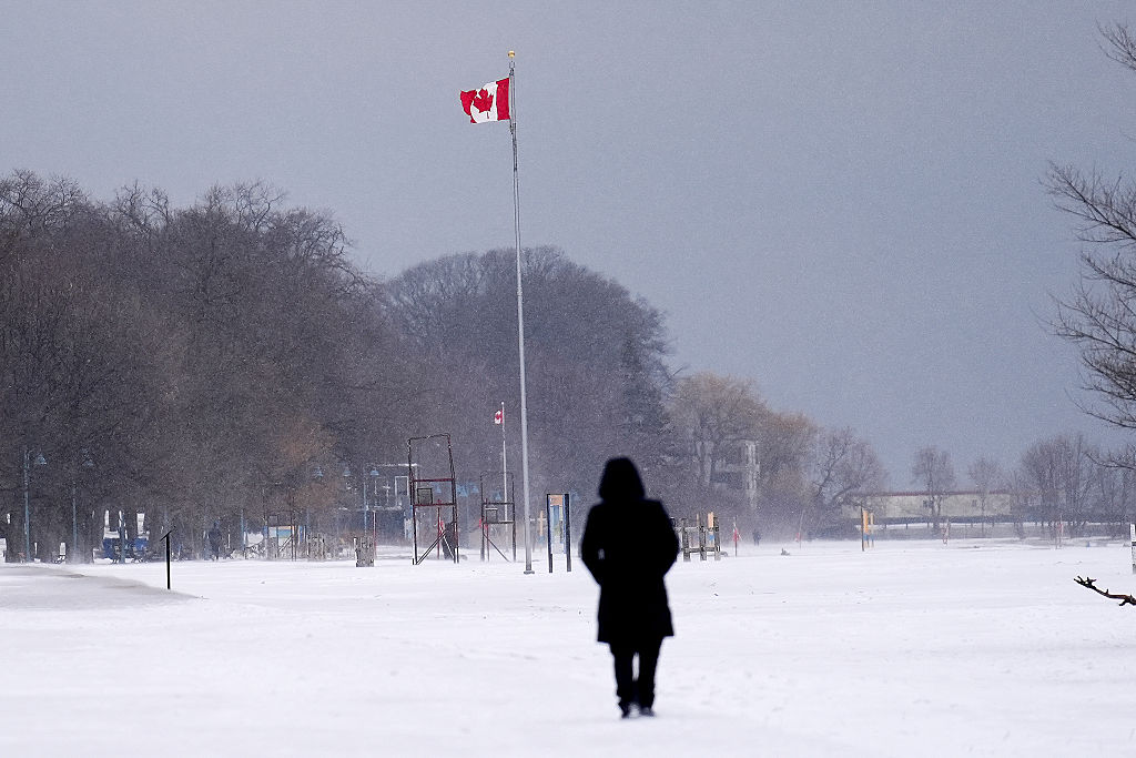 Canada cuts IFHP in new budget: Report