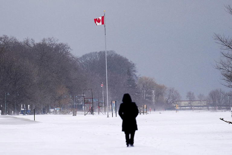 Canada cuts IFHP in new budget: Report