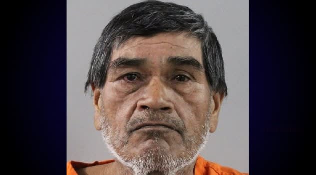 Illegal immigrant charged with arson after trying to burn down Wahneta home