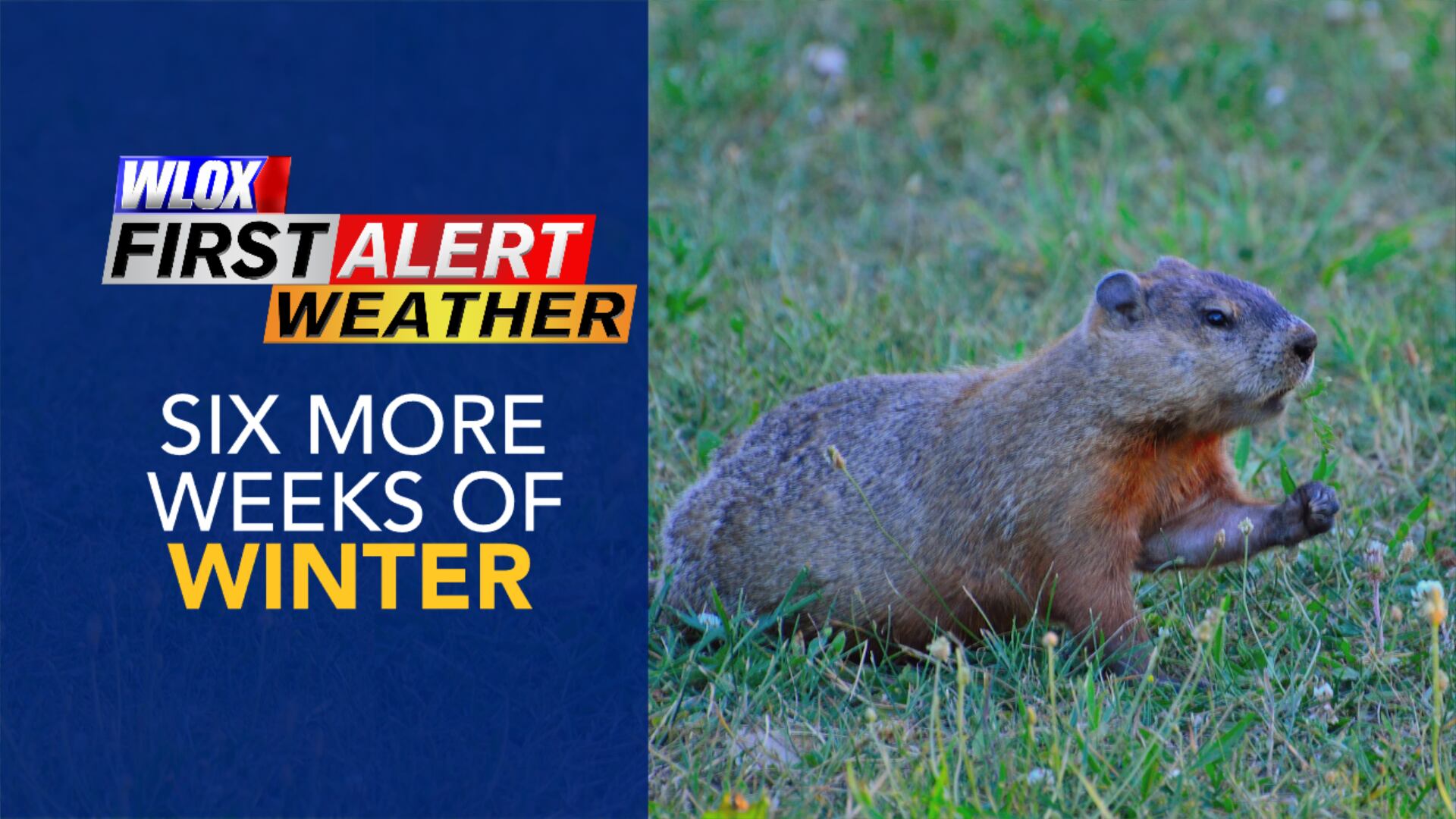 Groundhog calls for more winter
