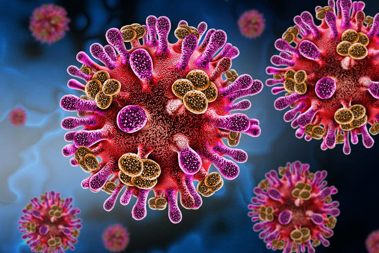 Global Virus Network issues statement on Nipah virus outbreak